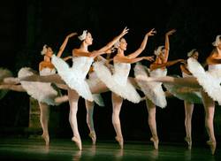 ballet-national-de-cuba-avec-des-propositions-educatives-pour-lete