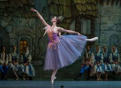 ballet-argentino-actuara-en-festival-internacional-en-cuba