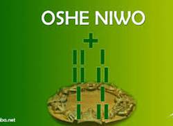 oshe-niwo