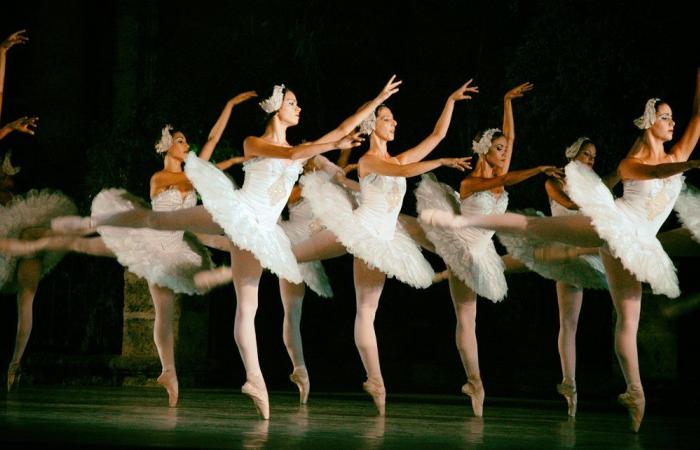ballet-national-de-cuba-avec-des-propositions-educatives-pour-lete