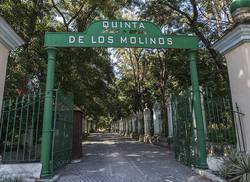 the-la-quinta-de-los-molinos-to-develop-online-workshops
