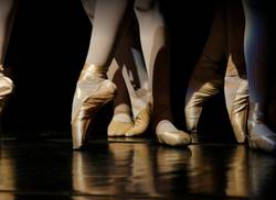 a-series-of-lectures-by-the-national-ballet-of-cuba-is-announced