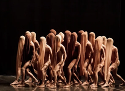 la-consagracion-por-danza-contemporanea-de-cuba