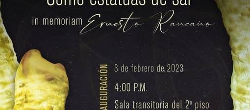 Portal Cubarte - Exposición en Museo Nacional de Bellas Artes ...