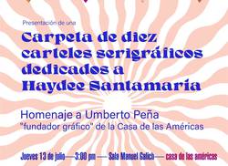 10-carteles-para-haydee