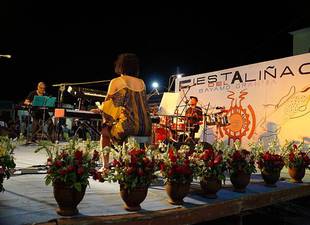 califican-de-satisfactoria-fiesta-del-alinao