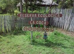 de-los-sitios-patrimoniales-de-la-habana-la-coca-monumento-natural