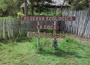 de-los-sitios-patrimoniales-de-la-habana-la-coca-monumento-natural