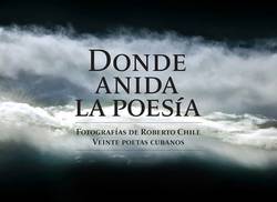 donde-anida-la-poesia-extraordinario-proyecto-de-roberto-chile