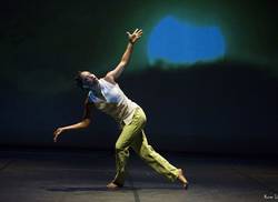 el-solo-y-la-danza-a-proposito-del-solamente-solos-2019