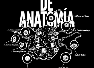en-galeria-habana-leccion-de-anatomia-un-acercamiento-a-las-entranas-del-arte