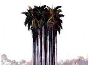 entre-los-vientos-de-melissa-y-otro-desafio-en-la-onu