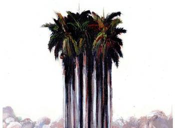 Entre los vientos de Melissa y otro desafío en la ONU entre-los-vientos-de-melissa-y-otro-desafio-en-la-onu