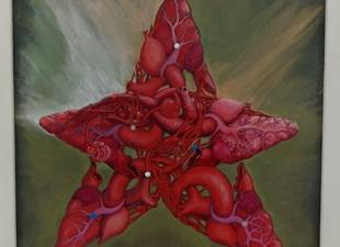 inaugurada-con-la-estrella-y-la-rosa
