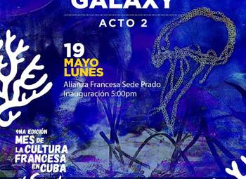 inauguraran-exposicion-de-louisa-marajo-en-la-alianza-francesa