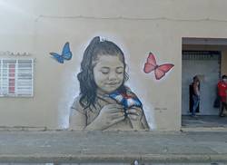 la-cultura-compartida-esa-coraza