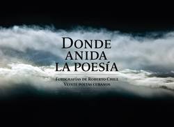 presentaran-el-libro-donde-anida-la-poesia-de-roberto-chile