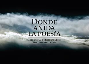 presentaran-el-libro-donde-anida-la-poesia-de-roberto-chile