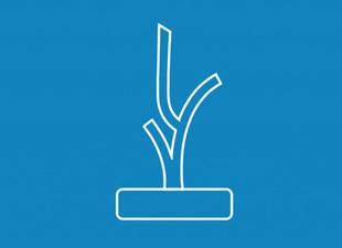 presidente-de-cuba-resalta-alcance-de-festival-de-cine-latinoamericano