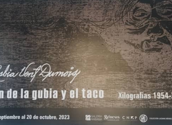 son-de-la-gubia-y-el-taco-nueva-exposicion-en-galeria-habana-como-homenaje-a-la-obra-de-lesbia-vent-dumois