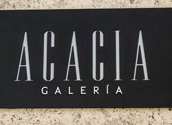 una-acacia-que-reverdece-en-el-centro-de-la-habana-por-adalys-perez-suarez