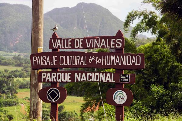 joint-cuban-spanish-project-drafts-geological-guide-on-vinales-valley