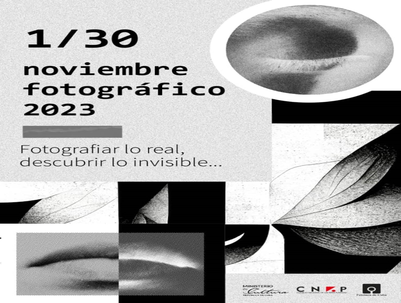 noviembre-fotografico-kicks-off