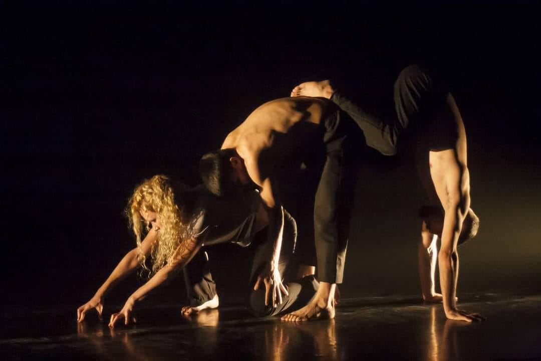 de-la-novel-coreografia