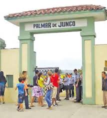 el-macanazo-del-palmar-del-junco-y-su-beisbol-monumento-nacional