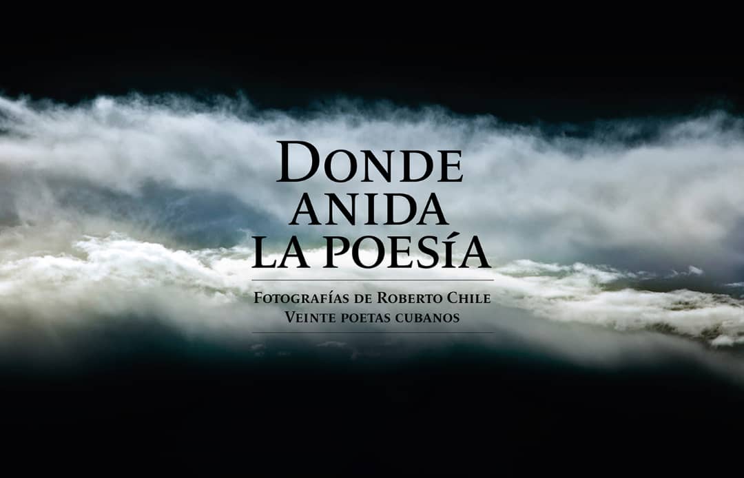 presentaran-el-libro-donde-anida-la-poesia-de-roberto-chile